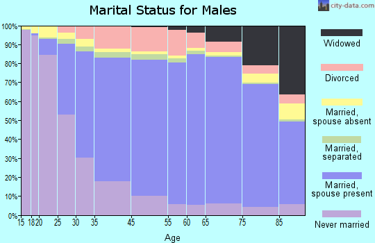Kenai Peninsula Borough marital status for males