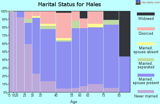 Ashe County marital status for males