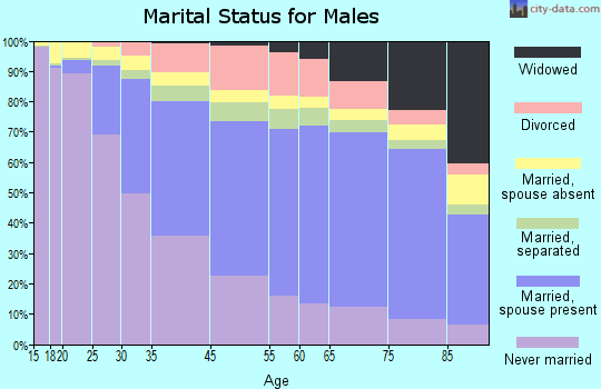 Newaygo County marital status for males