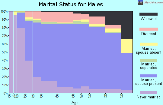 Scott County marital status for males