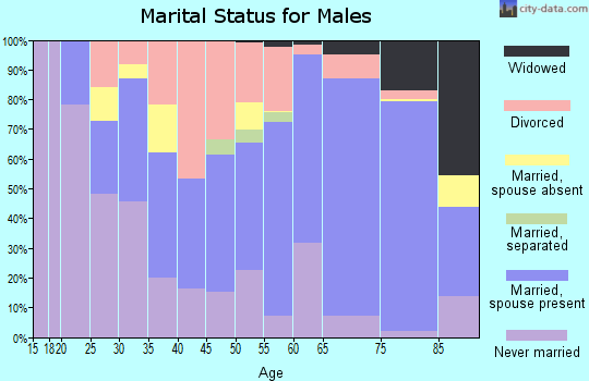 Ellsworth County marital status for males