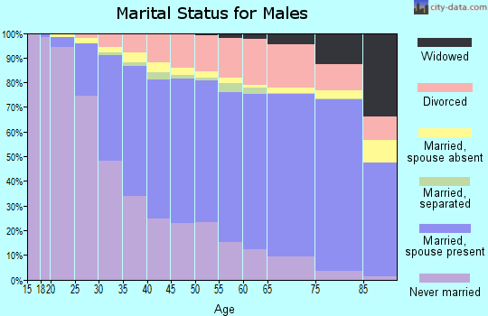 Hennepin County marital status for males