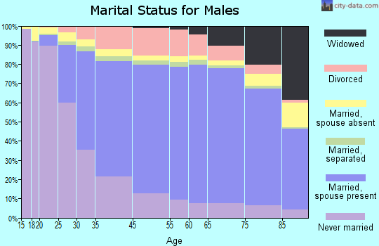 Mason County marital status for males
