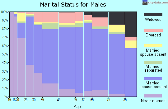 Marion County marital status for males