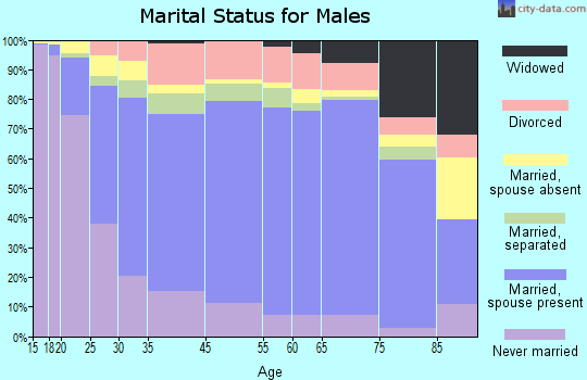 Washington County marital status for males