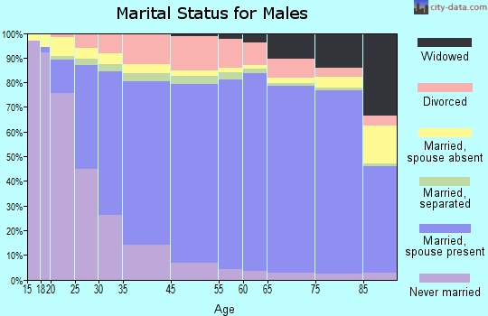Glynn County marital status for males