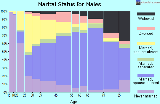Porter County marital status for males