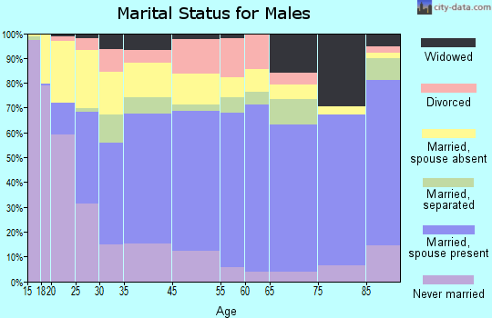 Morris County marital status for males