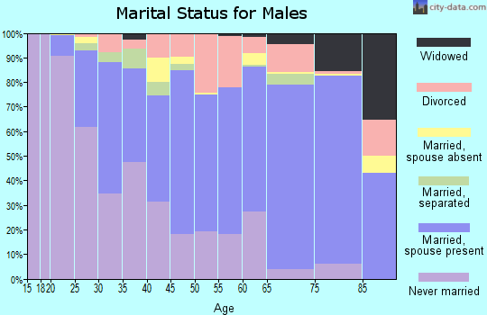 Dinwiddie County marital status for males