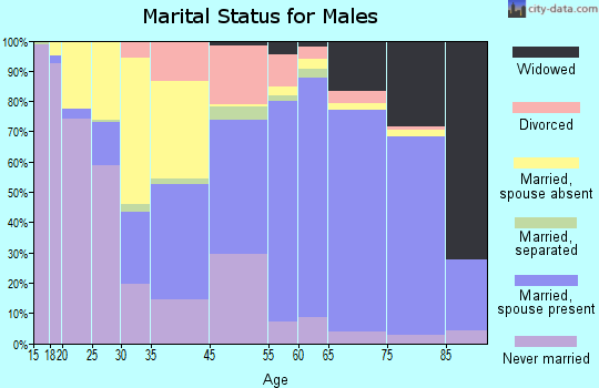 Marion County marital status for males