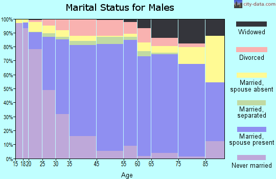 Dimmit County marital status for males