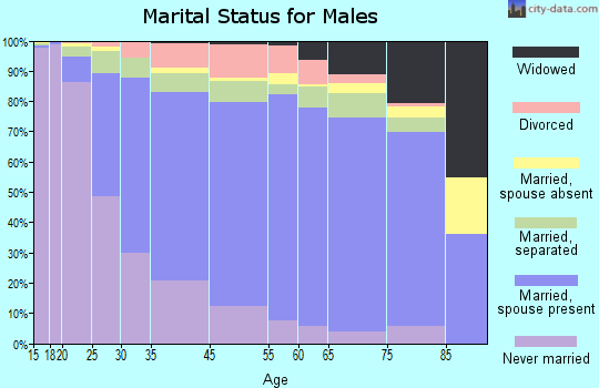 Washington County marital status for males