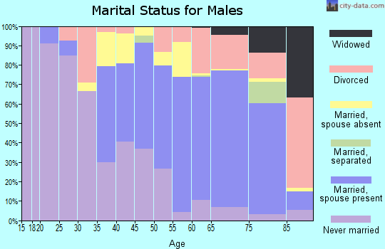 Huerfano County marital status for males