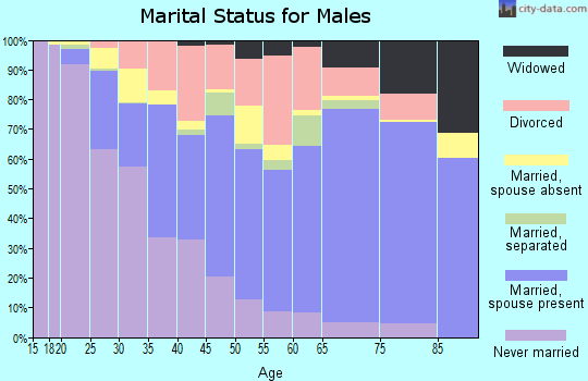 Chattooga County marital status for males