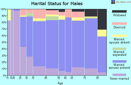 Lee County marital status for males