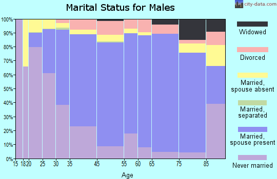 New Hanover County marital status for males