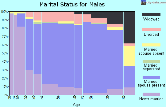 Delaware County marital status for males