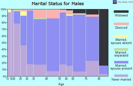 Mitchell County marital status for males