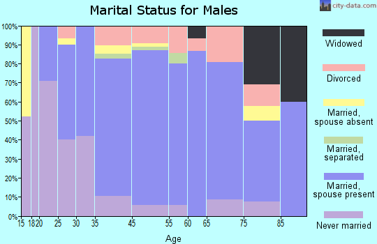 Leslie County marital status for males