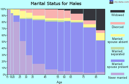 Archer County marital status for males