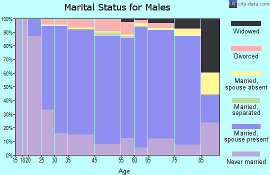 Rice County marital status for males