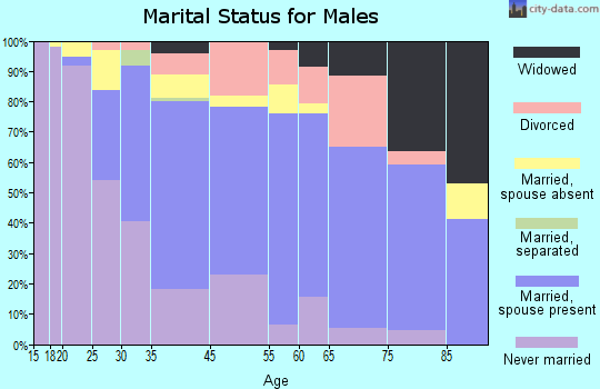 Miller County marital status for males