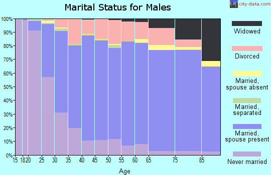 Allegan County marital status for males