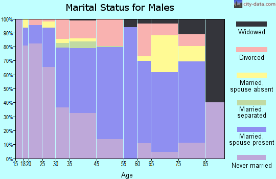 Sevier County marital status for males