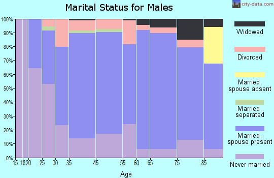 Portage County marital status for males