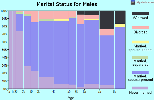 York County marital status for males