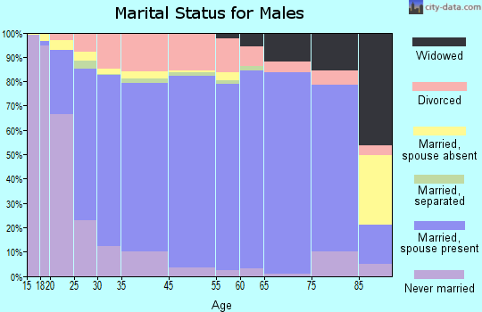 Roseau County marital status for males