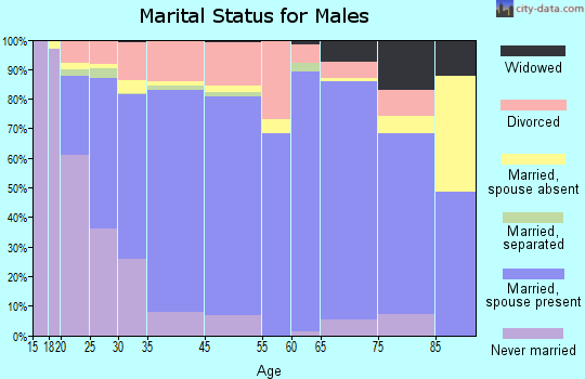 Nottoway County marital status for males