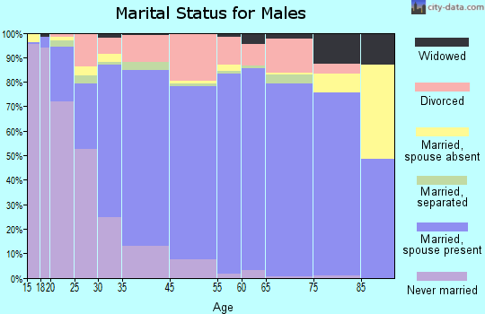 Brown County marital status for males