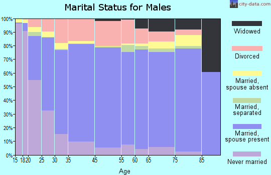 Otsego County marital status for males