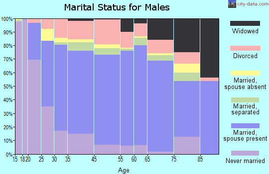 Dundy County marital status for males