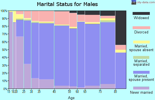Union County marital status for males