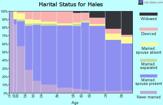 Winnebago County marital status for males