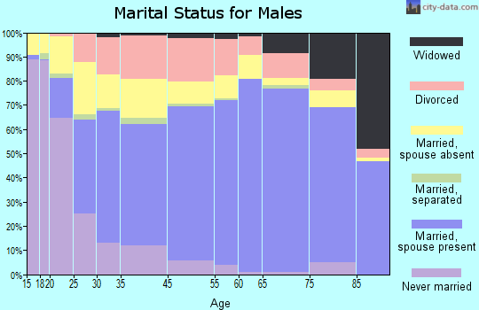 Van Buren County marital status for males