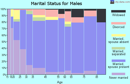 O'Brien County marital status for males