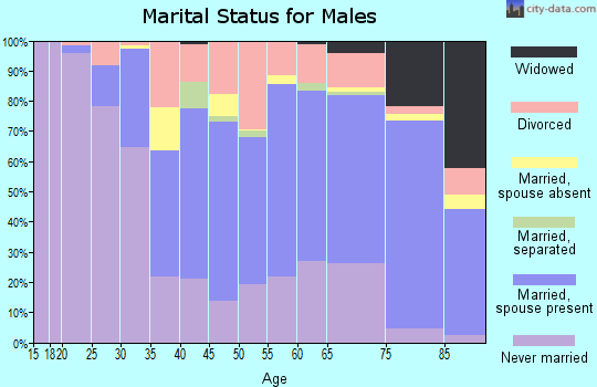 Mineral County marital status for males