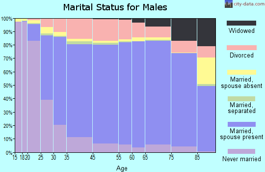 Logan County marital status for males