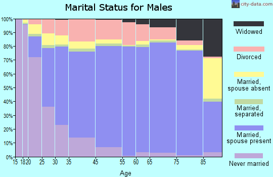Beaverhead County marital status for males