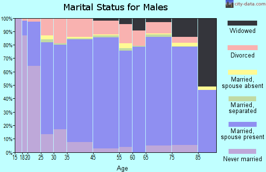 El Paso County marital status for males