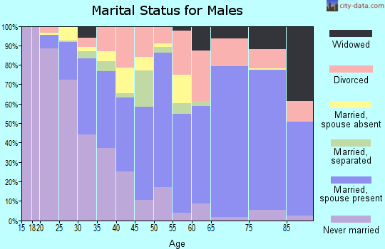 Holmes County marital status for males