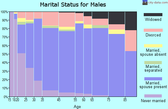 Peoria County marital status for males