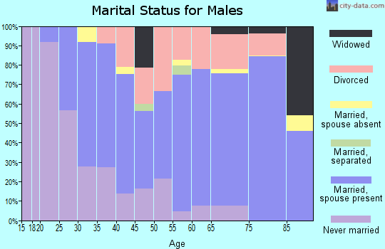 Lemhi County marital status for males