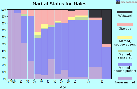 Gallatin County marital status for males