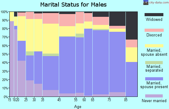 Lyon County marital status for males