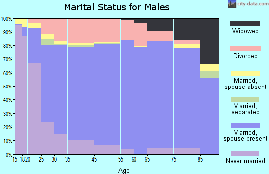 Sibley County marital status for males