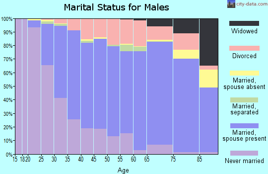 Isanti County marital status for males